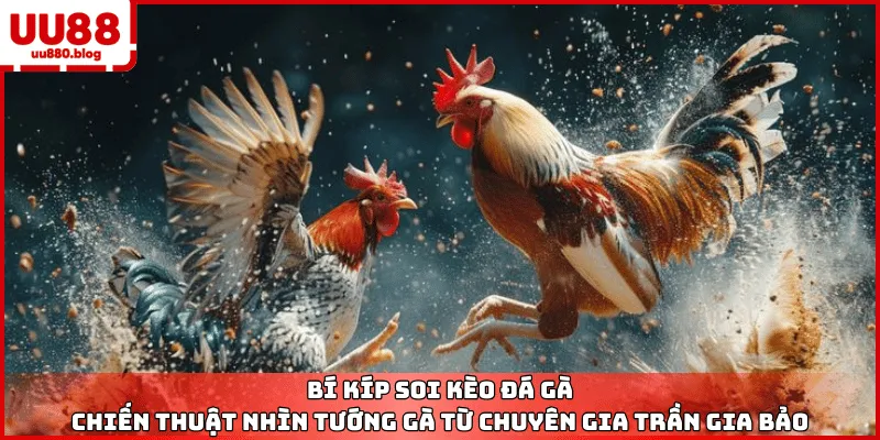 bí kíp soi kèo đá gà uu88