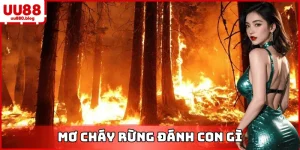 mơ cháy rừng đánh con gì uu88