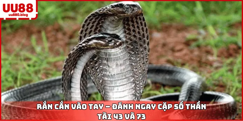 mơ rắn cắn vào tay chốt số may mắn